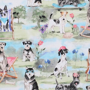 oJX̃Ck V[jbN 3W-4489 Rbgvgn