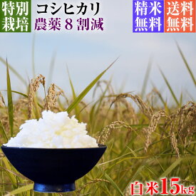 【新米】令和5年産 特別栽培米 コシヒカリ 15kg 送料無料 白米 埼玉県知事認定地域指導農家エコファーマー 農家直送 特別栽培米 こしひかり kosihikari koshihikari 選べる 1分づき(粗挽き) 3分づき 5分づき 7分づき 白米