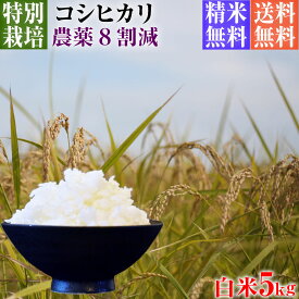 【新米】令和5年産 特別栽培米 コシヒカリ お試し 5kg 送料無料 白米 埼玉県知事認定地域指導農家エコファーマー 農家直送 特別栽培米 こしひかり kosihikari koshihikari 選べる 1分づき(粗挽き) 3分づき 5分づき 7分づき