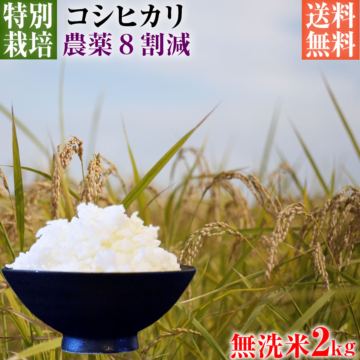 令和5年産 特別栽培米 コシヒカリ お試し 2kg 無洗米 埼玉県知事認定