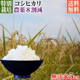 【送料無料】【新米】令和5年産 特別栽培米 コシヒカリ お試し 5kg 無洗米 埼玉県知事認定地域指導農家エコファーマー 農家直送 特別栽培米 こしひかり kosihikari koshihikari