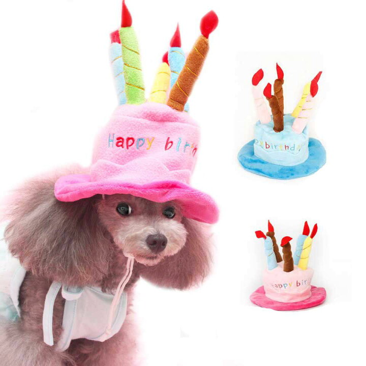 楽天市場 ペットコスプレ バースデーハット 誕生日帽子 ハッピーバースデー プレゼント キャップ かぶりもの ペットグッズ ペット用品 ネコ ねこ 犬 イヌ 小型犬 コスチューム 仮装 ハロウィン かわいい 可愛い Flopsy Mart