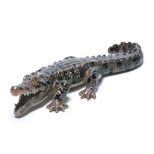 yKLIMA N}z OC CROCODILE@iOC jj