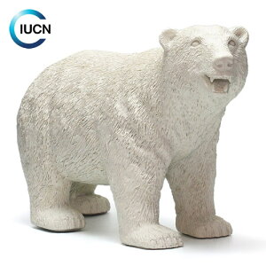 MODERN IN WILDNESS SHIROKUMA@i_ C C_lX VN}j yASz