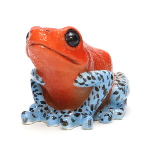 REPTILES MAG STRAWBERRY POISON DART FROG@iveB }O C`ShNKGj