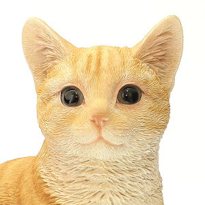 ■PETBANKCATSITTABBY(ペットバンクキャットシットタビー)【あす楽対応】
