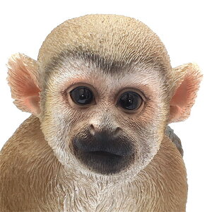 ■PETBANKCOMMONSQUIRRELMONKEY(ペットバンクコモンリスザル)【AS