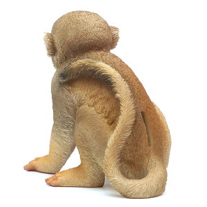 ■PETBANKCOMMONSQUIRRELMONKEY(ペットバンクコモンリスザル)【AS