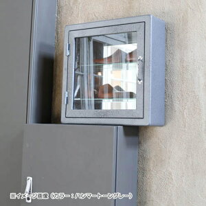 【ダルトンDULTON】WALLMOUNTGLASSCABINETSQUARE(ウォールマウントガラスキャビネットスクエア)115-313【送料無料】【ポイント10倍】
