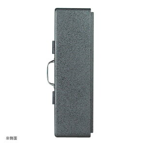 【ダルトンDULTON】WALLMOUNTGLASSCABINETSQUARE(ウォールマウントガラスキャビネットスクエア)115-313【送料無料】【ポイント10倍】
