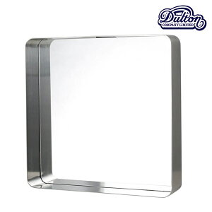 y_g DULTONz MIRROR WITH STEEL FLAME SATIN FINISH@i~[ EBY X`[ t[ Xe tBjbVj D19-0059st yz