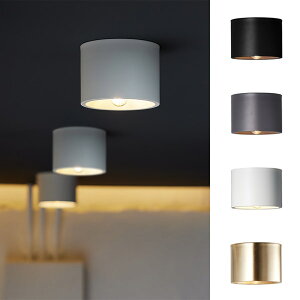 EVE CEILING LIGHT@iCu V[O Cgj AW-0635 y|Cg4{z yz yAWSz