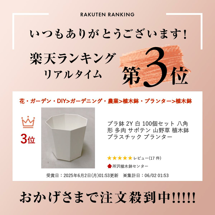 プラスチック 楽天市場】プラ鉢 2Y 白 100個セット 八角形 多肉 サボテン 山
