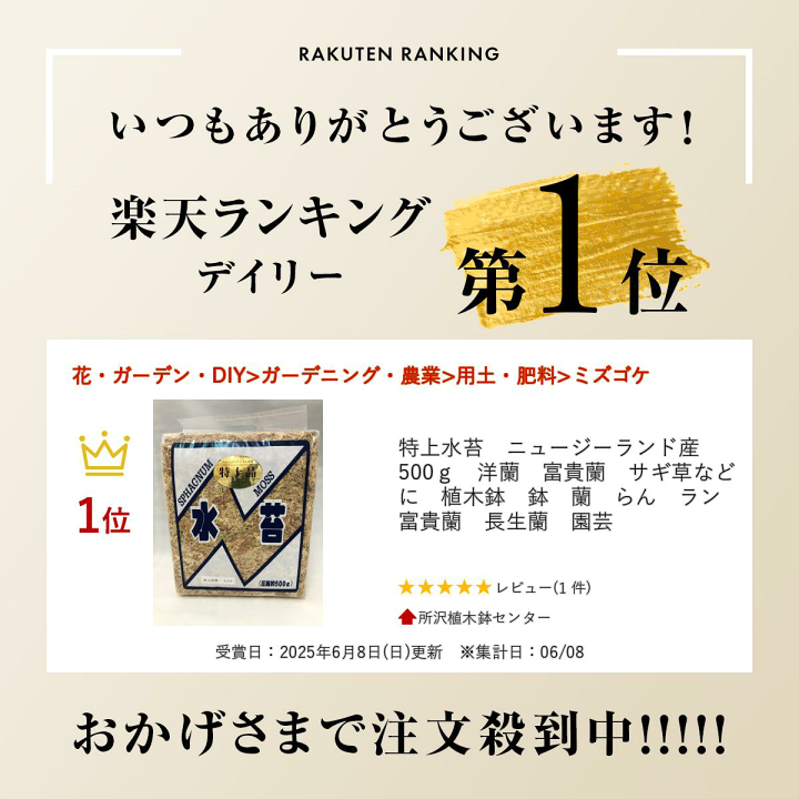 『ナツうー特価』　泉寿堂　其泉 『染錦濃唐花文』　建水　入れ物 銀座 真生堂 | 並河靖之作 / 明治 七宝 / 桔梗に蝶図 花瓶