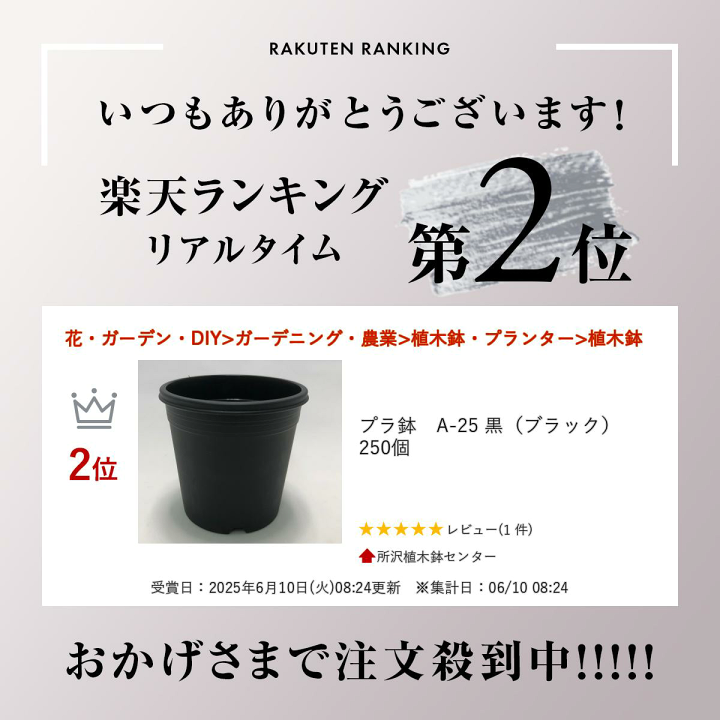楽天市場】プラ鉢 A-25 黒（ブラック） 250個 : 所沢植木鉢センター
