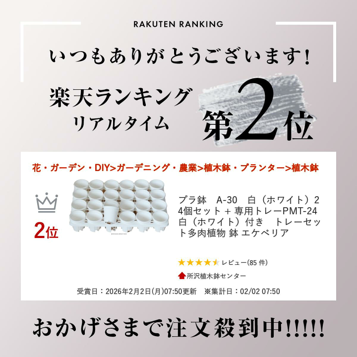 楽天市場】プラ鉢 A-30 白（ホワイト）24個セット + 専用トレーPMT-24 