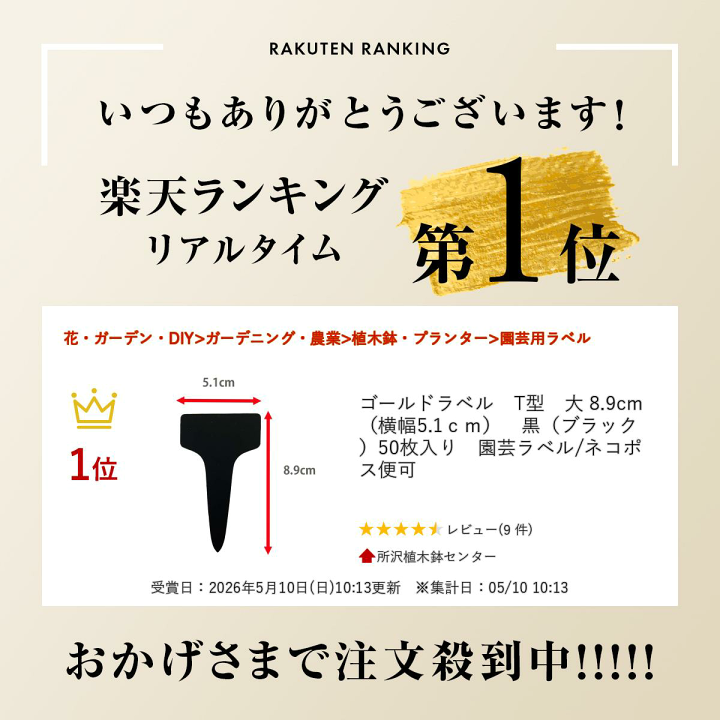 楽天市場】ゴールドラベル T型 大 8.9cm（横幅5.1cm） 黒（ブラック