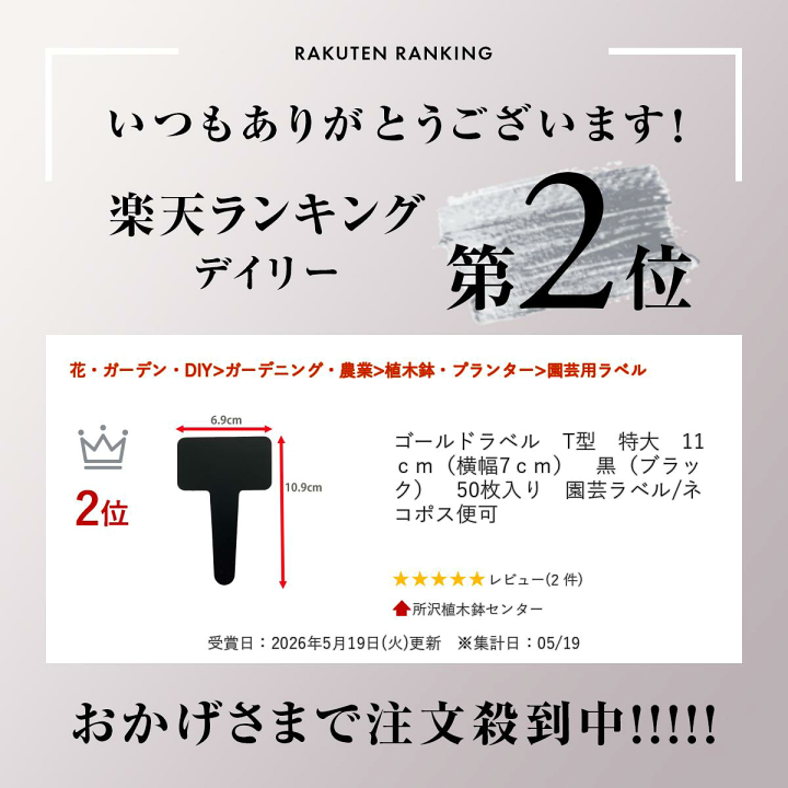 楽天市場】ゴールドラベル T型 特大 11cm（横幅7cm） 黒（ブラック