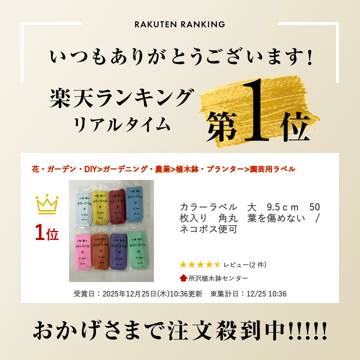 楽天市場】カラーラベル 大 9.5cm 50枚入り 角丸 葉を傷めない