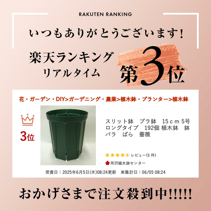 楽天市場】スリット鉢 プラ鉢 15cm 5号 ロングタイプ 192個 植木鉢