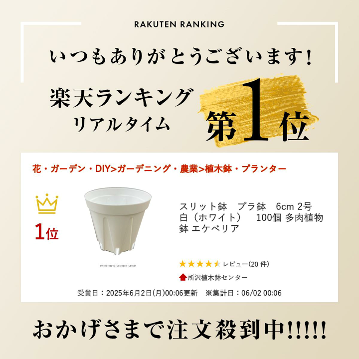 鉢 プラスチック 花丸 スリット　多肉植物　1.7号鉢 2.5 ポット　12個 鉢 プラスチック 花丸 スリット 多肉植物 1.7号鉢 2.5 ポット 12個 鉢
