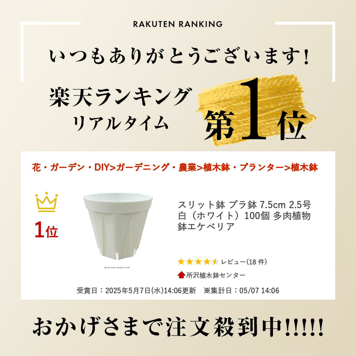 楽天市場】スリット鉢 プラ鉢 7.5cm 2.5号 白（ホワイト）100個 多肉