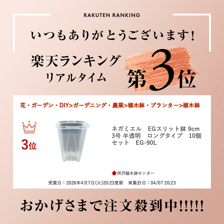 楽天市場】ネガミエル EGスリット鉢 9cm 3号 半透明 ロングタイプ 10個