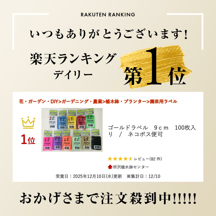 楽天市場】ゴールドラベル 9cm 100枚入り / ネコポス便可 : 所沢