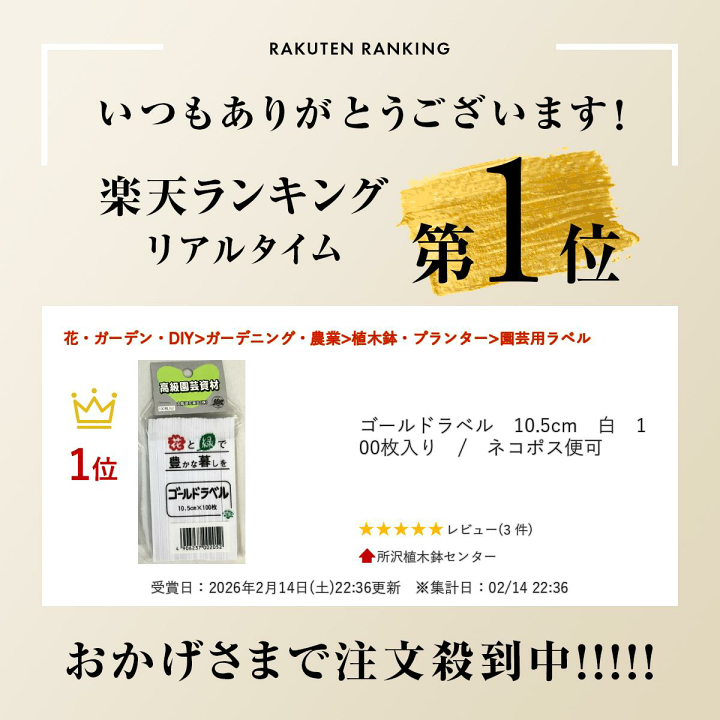 楽天市場】ゴールドラベル 10.5cm 白 100枚入り / ネコポス便可 : 所沢