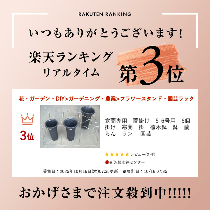 楽天市場】寒蘭専用 蘭掛け 5-6号用 6個掛け 寒蘭 掛 植木鉢 鉢 蘭