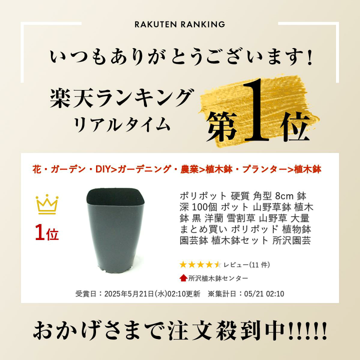 楽天市場】ポリポット 硬質 角型 8cm 鉢 深 100個 ポット 山野草鉢