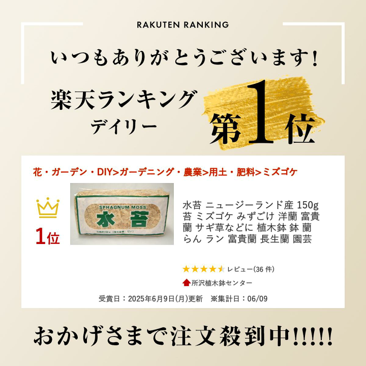 楽天市場】水苔 ニュージーランド産 150g 苔 ミズゴケ みずごけ