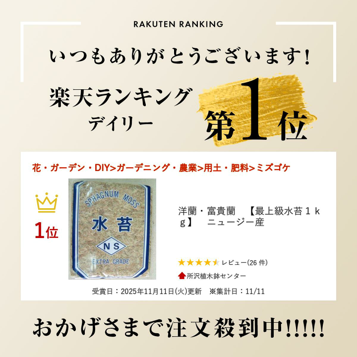 楽天市場】洋蘭・富貴蘭 【最上級水苔1kg】 ニュージー産 : 所沢