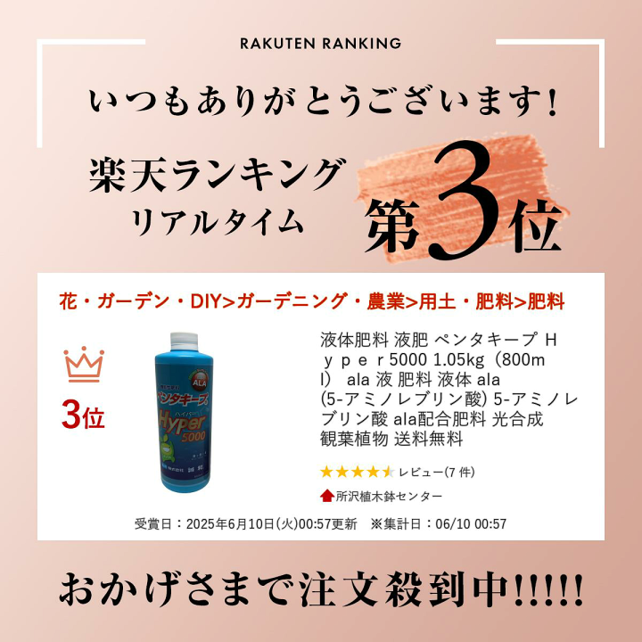 ペンタキープ ハイパー5000 800ml ペンタキープハイパー5000 hyper 肥料 誠和 ペンタキープ