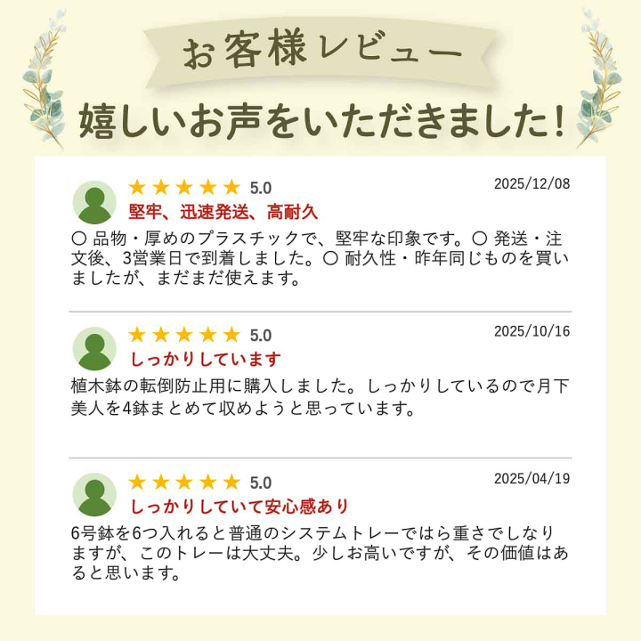楽天市場】システムトレー180 6穴 6号用 黒 プラスチックトレイ : 所沢