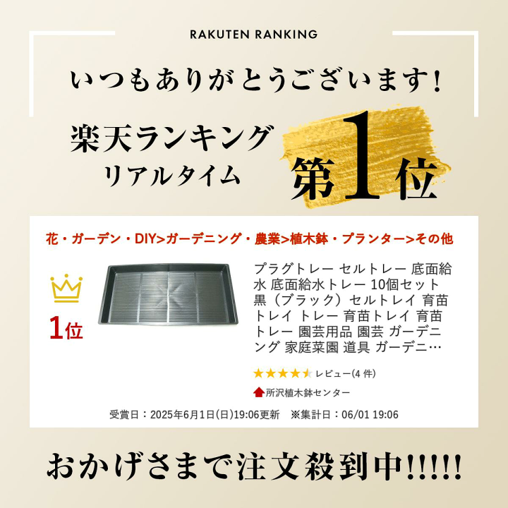 楽天市場】10個セット プラグトレー セルトレー 底面給水 底面給水