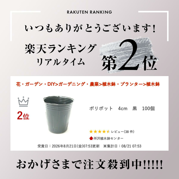 楽天市場】ポリポット 4cm 黒 100個 : 所沢植木鉢センター