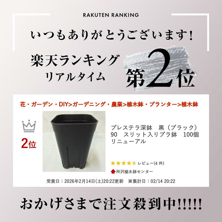 楽天市場】プレステラ深鉢 黒（ブラック） 90 スリット入りプラ鉢 100