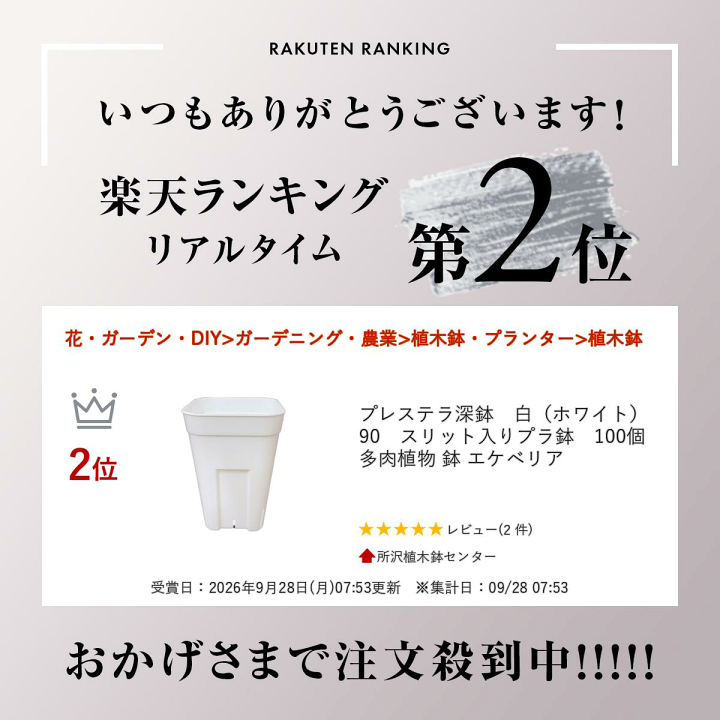 楽天市場】プレステラ深鉢 白（ホワイト） 90 スリット入りプラ鉢 100