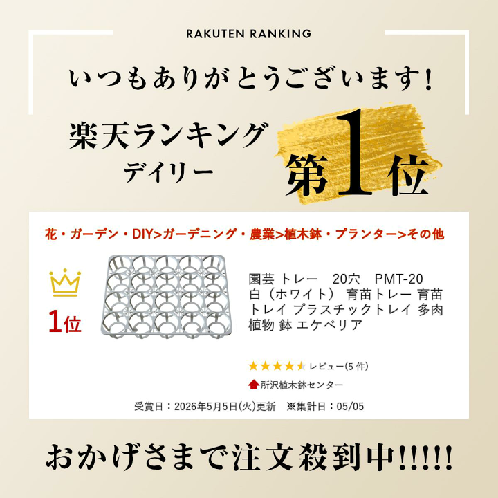 「特典付き」雷子 -紺碧の章- 200枚】竹筒 W(L) アサヒグリーン 汎用トレー トレー 00674714