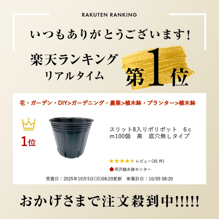10個セット まほろばアメ反小鉢 [ 12×6.7㎝ ] 小鉢 セトモノホンポ 楽天市場】スリット8入りポリポット 6cm 100個 黒 底穴無しタイプ