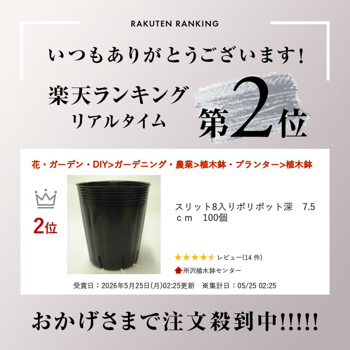 楽天市場】スリット8入りポリポット深 7.5cm 100個 : 所沢植木鉢センター