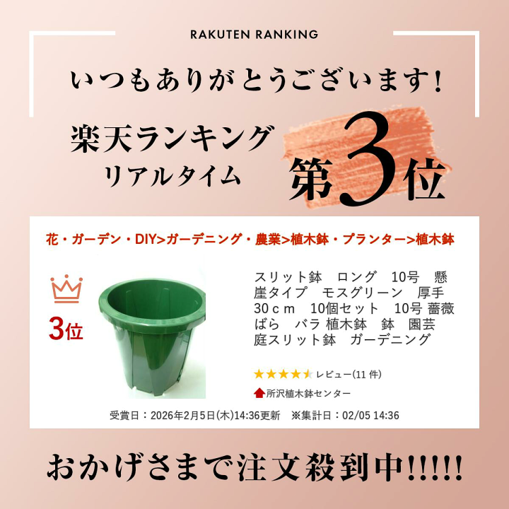 楽天市場】スリット鉢 ロング 10号 懸崖タイプ モスグリーン 厚手