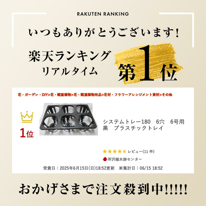 【美品 未使用品】西ドイツ製 バターケース トレイ メタル 銀色 六点セット 楽天市場】システムトレー180 6穴 6号用 黒 プラスチックトレイ