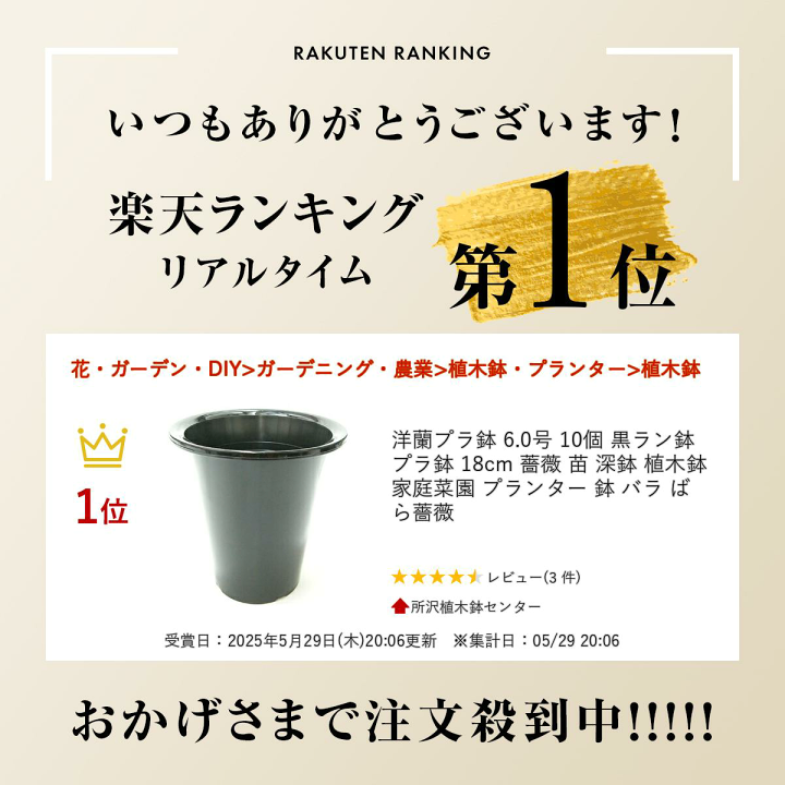 楽天市場】洋蘭プラ鉢 6.0号 10個 黒ラン鉢 プラ鉢 18cm 薔薇 苗 深鉢