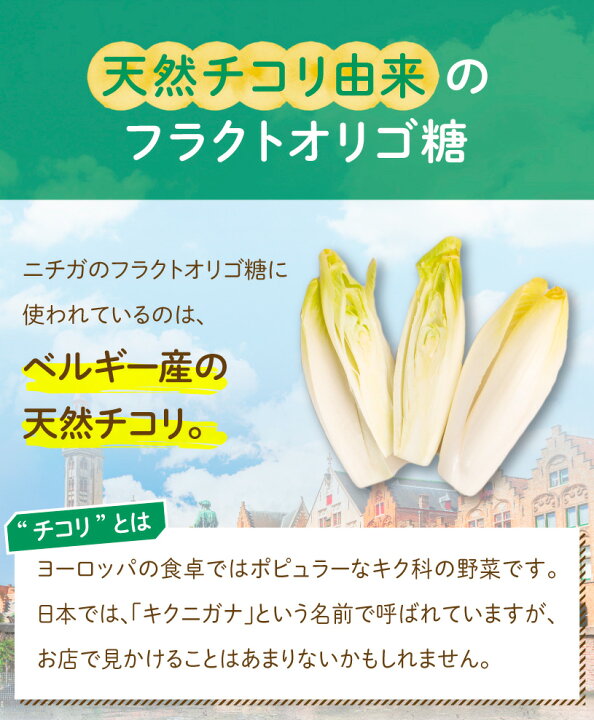 フラクトオリゴ糖 350ｇ 計量スプーン付 天然 チコリ由来 粉末タイプ 約97 5 含有 02 Nichiga ニチガ メーカー直送