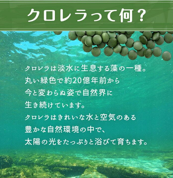 楽天市場】純国産 クロレラ 100％ 粒 1kg 【送料無料(沖縄を 