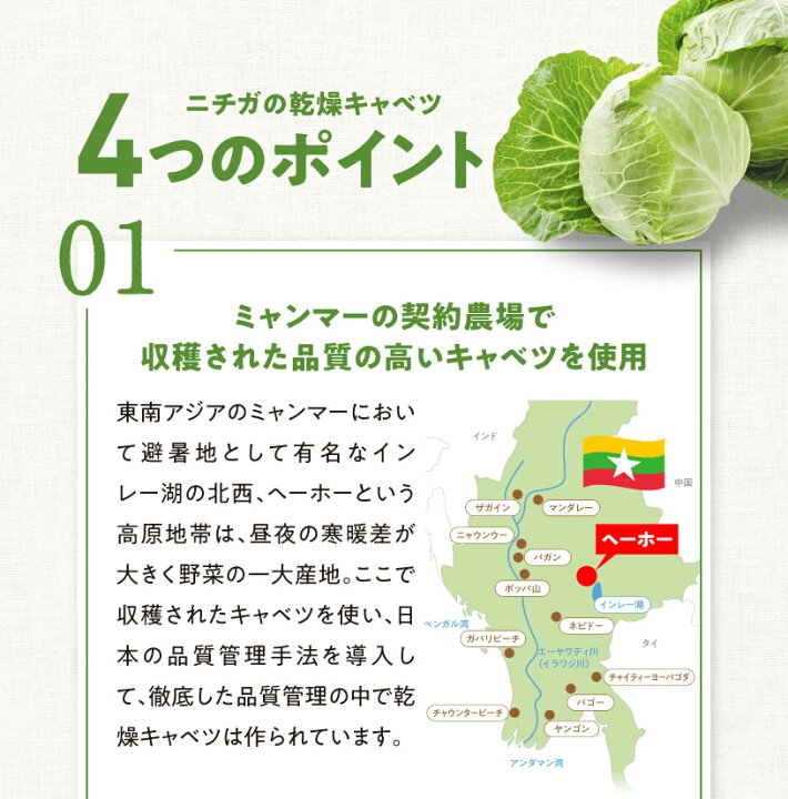 乾燥キャベツ 350ｇ 契約栽培 Ad製法 標高約1 000ｍの高原キャベツ使用