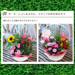  ̓v[g J[l[V ~bNX 񂹐A v[g ̓ Mtg 蕨 t[AWg oXPbgt A t[Mtg 肪Iׂn[u x_[