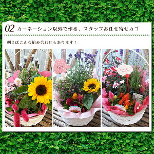  ̓v[g J[l[V ~bNX 񂹐A v[g ̓ Mtg 蕨 t[AWg oXPbgt A t[Mtg 肪Iׂn[u x_[